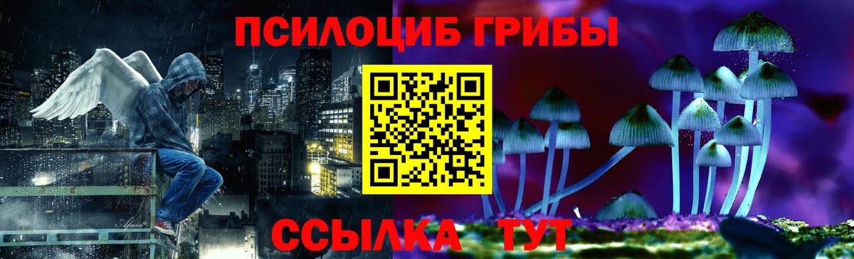 Галлюциногенные грибы Magic Shrooms  купить   Невинномысск  Вход с VPN  Псилоцибиновые грибы мицелий 